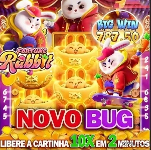 Termos de Serviço 56558